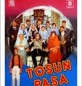 Tosun Paşa