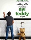 Ayı Teddy