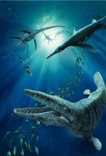 Deniz Canavarları Sea Monster