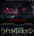 Splintered