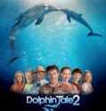 Dolphin Tale 2