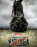 Virunga