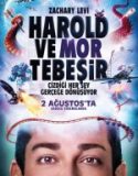 Harold ve Mor Tebeşir