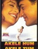 Akele Hum Akele Tum 1995 Türkçe Altyazılı