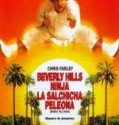 Beverly Hills Ninja