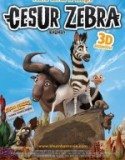 Cesur Zebra