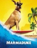 Marmaduke