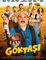 Göktaşı