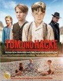 Tom Sawyer Ve Arkadaşları